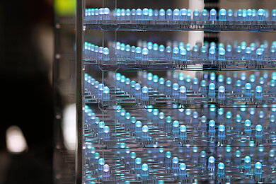 Leuchtdioden © HTW Berlin/Jennifer Weber