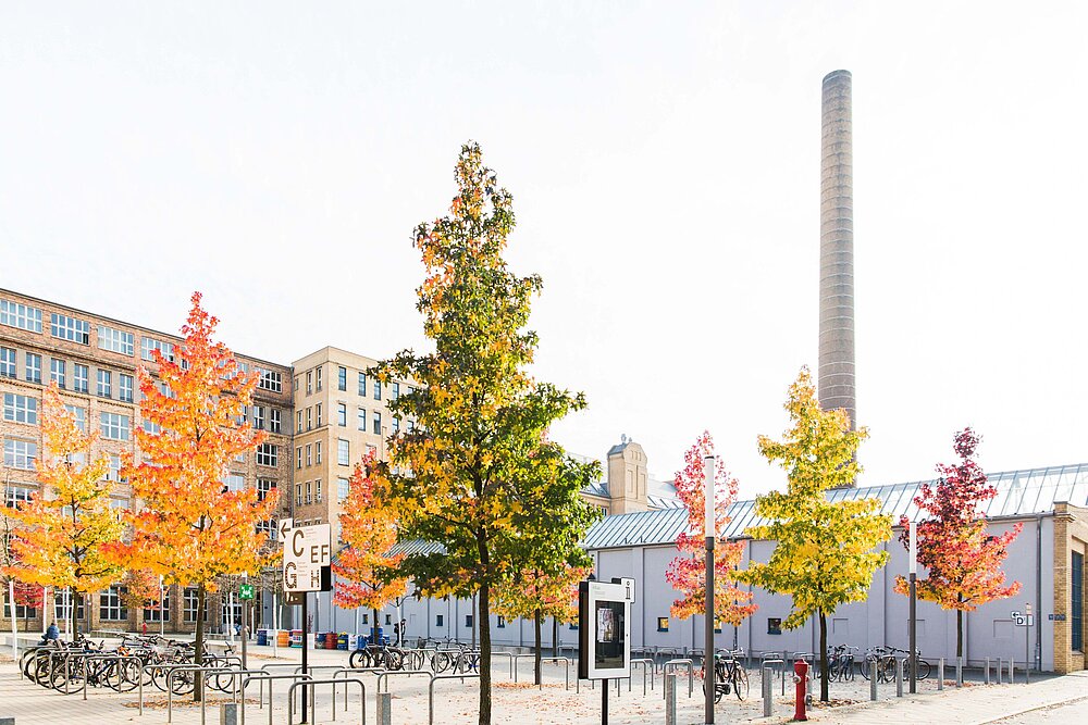 Herbstlich gefärbte Bäume im Innenhof zwischen Gebäude B und C am Campus Wilhelminenhof © HTW Berlin/Nikolas Fahlbusch