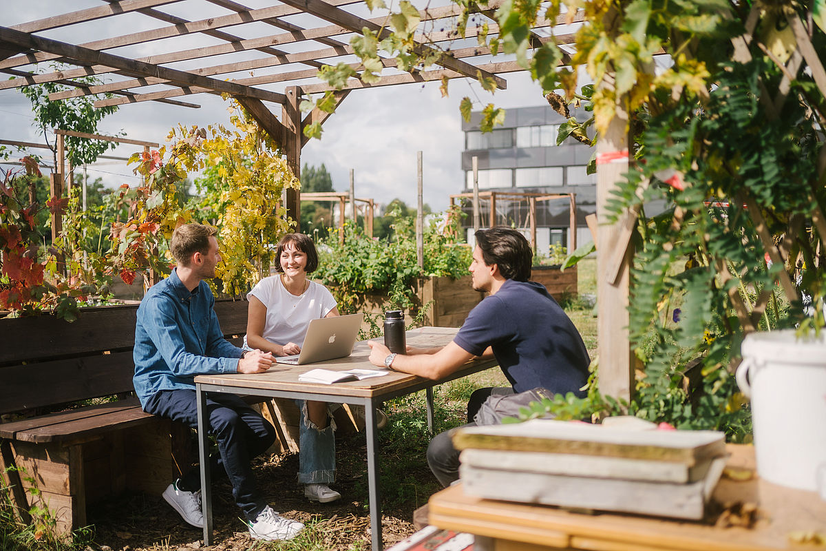 Studierende im Urban Garden auf dem Campus Wilhelminenhof