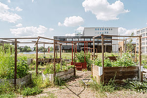 Urban Garden als Beispiel für Nachhaltigkeit an der HTW Berlin © HTW Berlin Alexander Rentsch