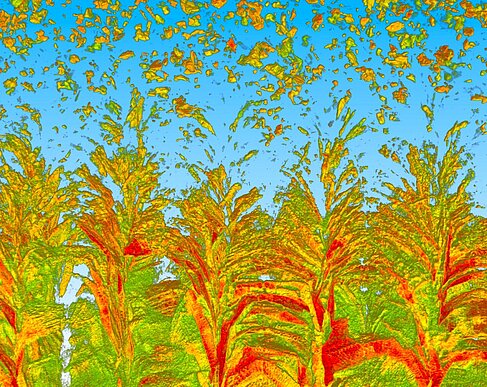 Strukturen in grün, gelb, orange und rot auf blauem Hintergrund, die an Gräser und fliegende Pollen erinnern © HTW Berlin/Birgit Ohst-Friedemann, Anton Lemiasheuski, Anja Pfennig