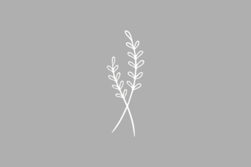 Weiße Zweige auf grauem Grund als Symbol für Trauer