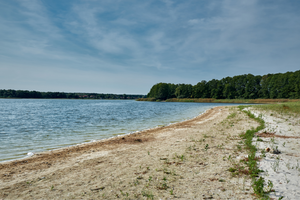 Sommerliche Wasserknappheit am Großen Seddiner See in Brandenburg