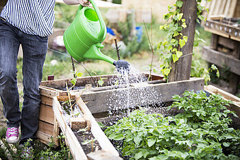 Gärtnern im Urban Garden © HTW Berlin/ Camilla Rackelmann Gärtnern im Urban Garden