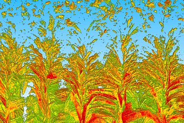 Strukturen in grün, gelb, orange und rot auf blauem Hintergrund, die an Gräser und fliegende Pollen erinnern © HTW Berlin/Birgit Ohst-Friedemann, Anton Lemiasheuski, Anja Pfennig