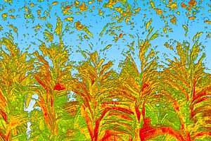 Strukturen in grün, gelb, orange und rot auf blauem Hintergrund, die an Gräser und fliegende Pollen erinnern © HTW Berlin/Birgit Ohst-Friedemann, Anton Lemiasheuski, Anja Pfennig