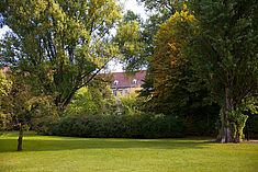 Ein Blick auf die Wiese mit Bäumen auf dem Campus Treskowallee