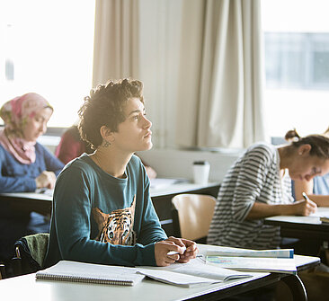 Students in a French course