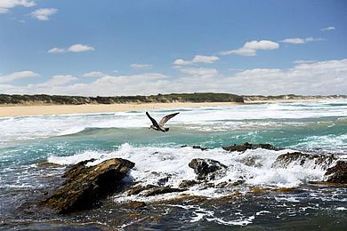 Kilcunda Beach