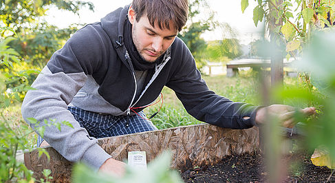 Student beim Pflanzen im Urban Garden