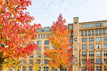 Gebäude auf dem Campus Wilhelminenhof, davor Bäume mit Herbstlaub
