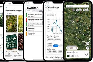 Screenshots der Info-App mit Karten und Grafiken. Copyright: HTW Berlin