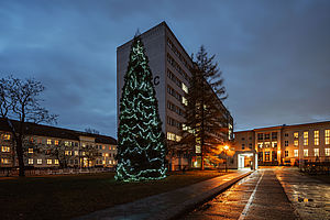 Leuchtender Weihnachtsbaum am Campus Treskowallee © HTW Berlin/Alexander Rentsch