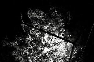 Pandora © Margarita Gehl, Philip Gerdes, Constantin Ruchay 